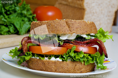 Image of BLT sandwich 