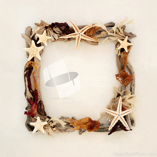 Image of Driftwood Seashell and Seaweed Wreath