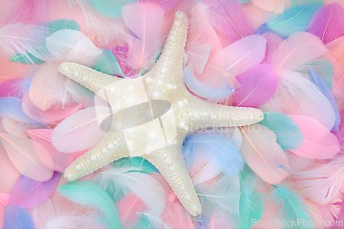 Image of Starfish Seashell and Feather Colorful Background