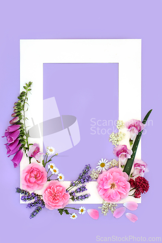 Image of Summer Flowers for Alternative Herbal Medicine