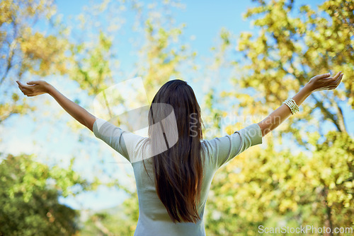 Image of Person, back and freedom in nature for outdoor wellness, travel and fresh air in environment and spring. Behind with casual and carefree hands by trees with celebration and stretching arms in a park