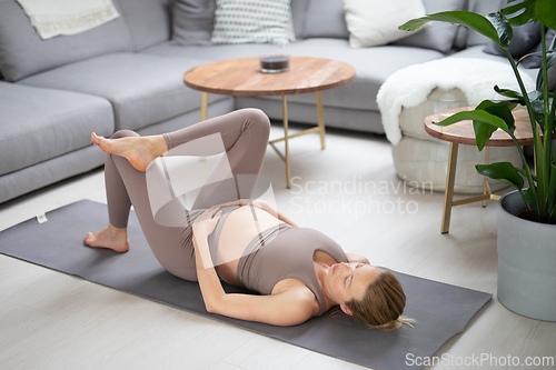 Image of Young beautiful pregnant woman training pilates at home in her living room. Healthy lifestyle and active pregnancy and motherhood concept.