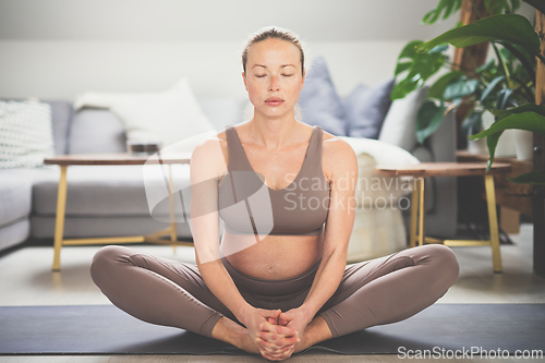 Image of Young beautiful pregnant woman practising yoga at home in her living room. Motherhood, pregnancy, healthy lifestyle, well being and yoga concept.