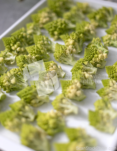 Image of Fresh romanesco broccoli