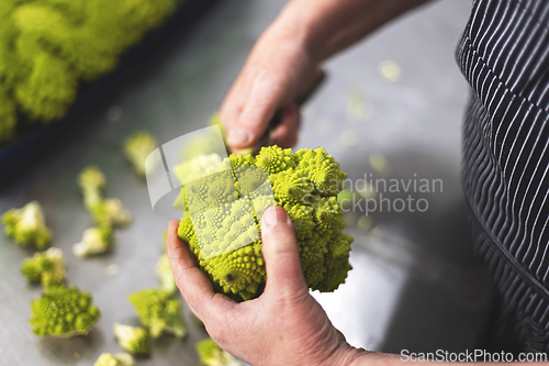 Image of fresh Romanesco broccoli, with vibrant green patterns