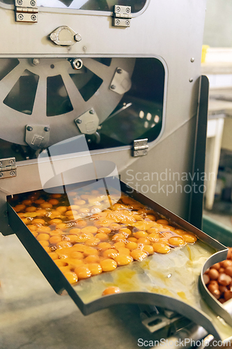Image of Industrial food processing machine