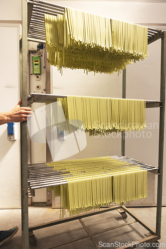 Image of Fresh pasta drying