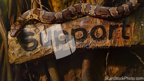 Image of Snake Skin Support concept creative horizontal art poster.