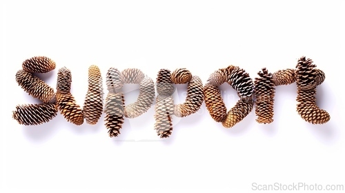 Image of The Word Support created in Spruce Pinecone Letters.