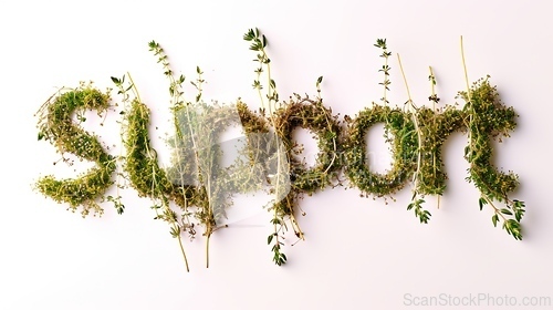 Image of The Word Support created in Thyme Typography.