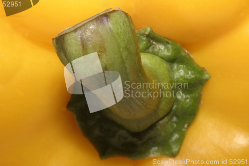 Image of Yellow Pepper