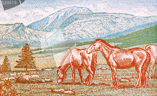 Image of Mongolian Horses