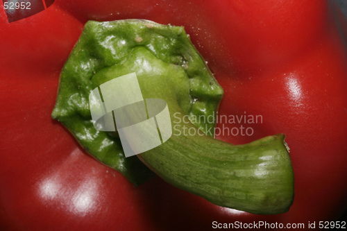 Image of Red Pepper