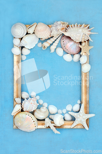 Image of Seashell Abstract Picture Frame Art 