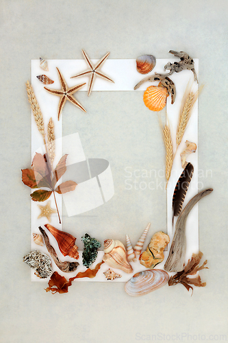 Image of Natural Nature Objects Background Border