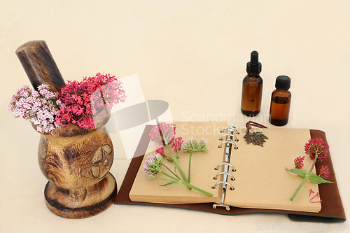 Image of Valerian Herb Flowers Perfume Making