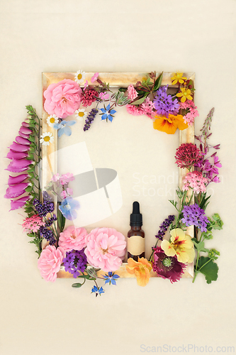 Image of Flowers and Herbs for Aromatherapy and Natural Herbal Medicine
