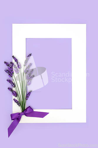 Image of Lavender Flower Herb Abstract Floral Background Frame