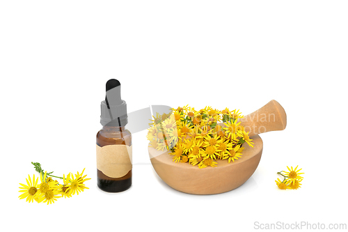 Image of Ragwort Flower Essence for Alternative Herbal Medicine