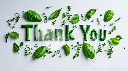 Image of Words Thank You created in Basil Typography.