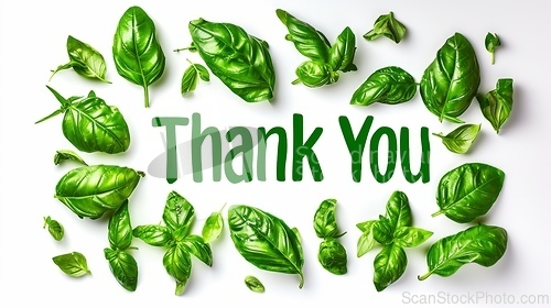 Image of Words Thank You created in Basil Typography.