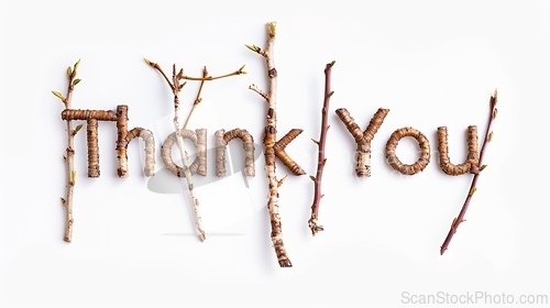 Image of Words Thank You created in Birch Twig Letters.