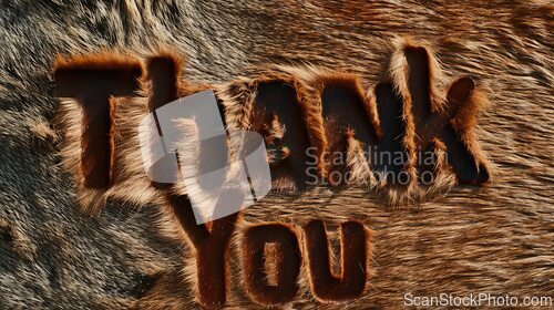 Image of Brown Fur Thank you concept creative art poster.