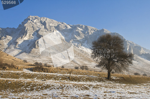 Image of Mild winter landscape