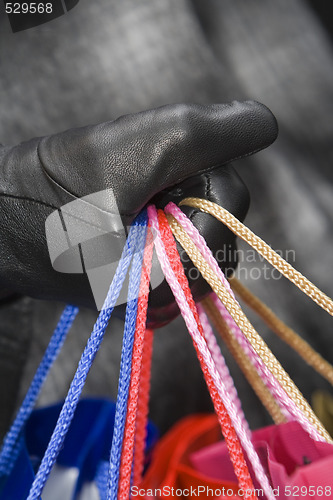 Image of Shopping bags