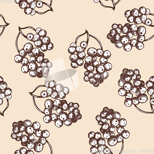 Image of Seamles Pattern Of Black Currant