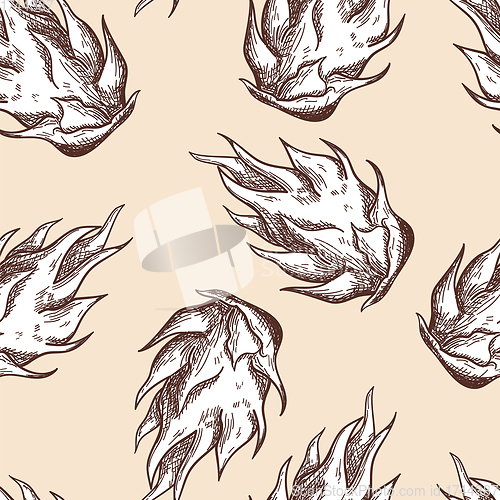 Image of Seamles Pattern Of Dragon Fruit