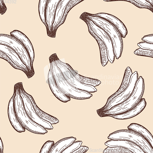 Image of Seamles Pattern Of Banana