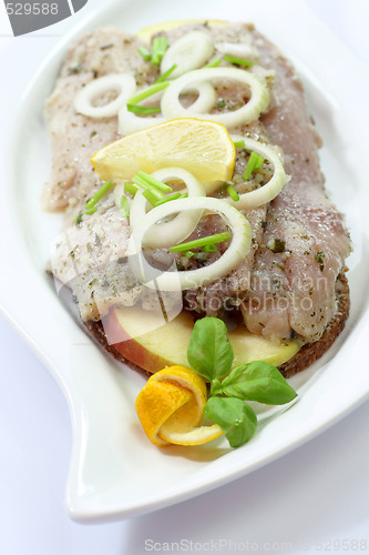 Image of Fresh herring