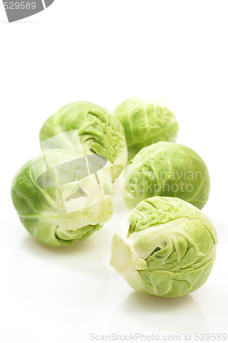 Image of Brussels Sprouts