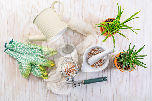 Image of Preparing  crushed eggshells for  vegetable bed, eggshells stored for making natural fertilizers for growing vegetables