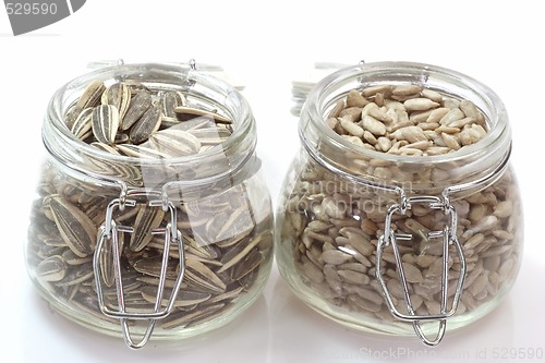 Image of Sunflower seeds