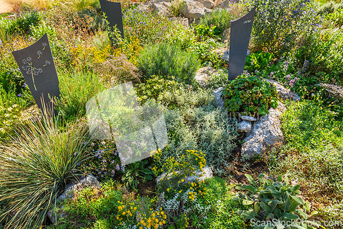 Image of Modern gave cross and tombstone decorated with native plants and succulents