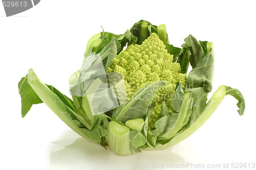 Image of Romanesco_11