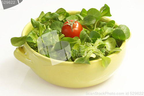 Image of Field salad