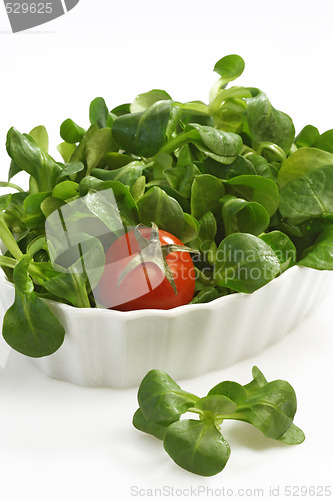 Image of Corn salad