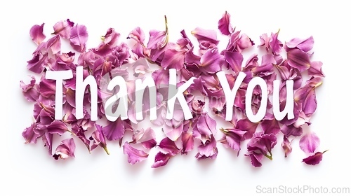 Image of Words Thank You created in Orchid Petal Letters.