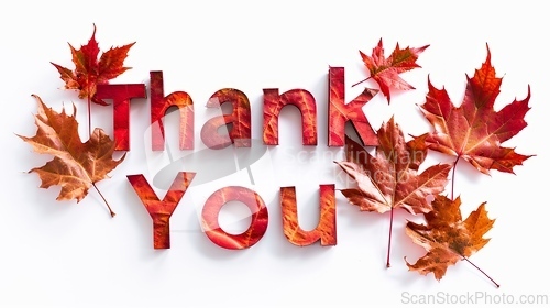 Image of Words Thank You created in Maple Leaf Letters.