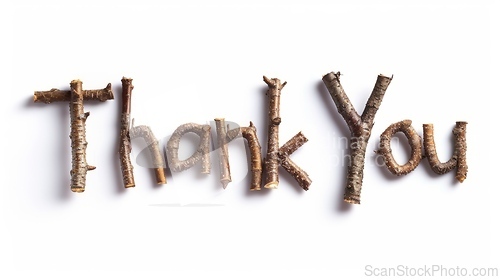 Image of Words Thank You created in Maple Twig Letters.