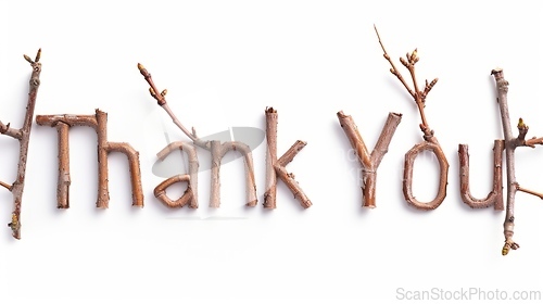 Image of Words Thank You created in Maple Twig Letters.