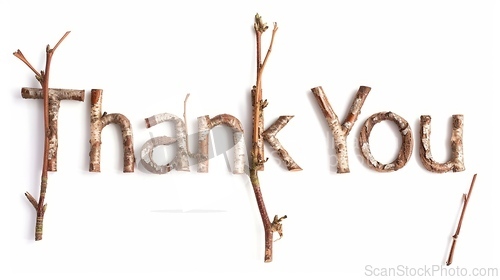 Image of Words Thank You created in Maple Twig Letters.