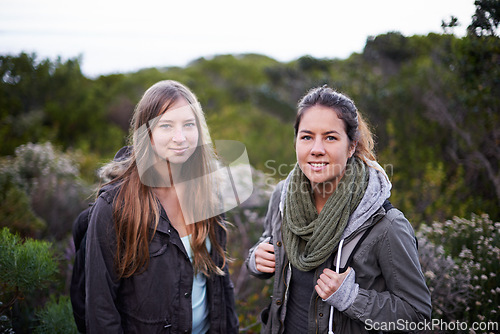 Image of Portrait, women and walking or hiking in nature for adventure, workout or exercise as fitness routine in forest. People, green plants and trees in Denmark for journey in woods or bush in countryside