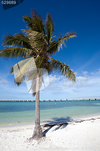 Image of Bahia Honda State park