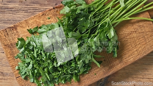Image of fresh green parsley leaves 