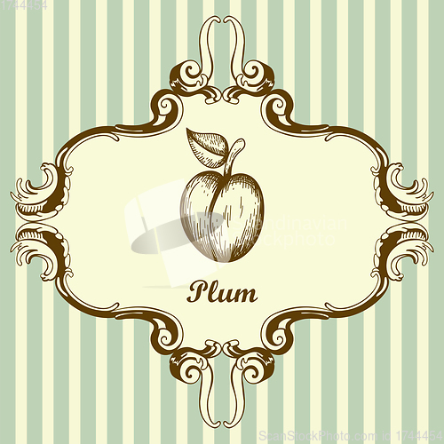Image of Icon Of Plum