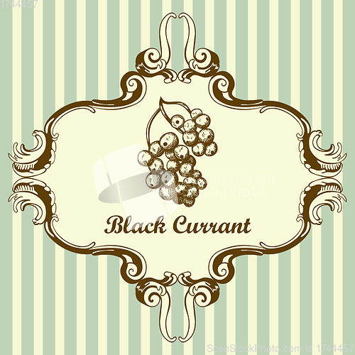 Image of Icon Of Black Currant